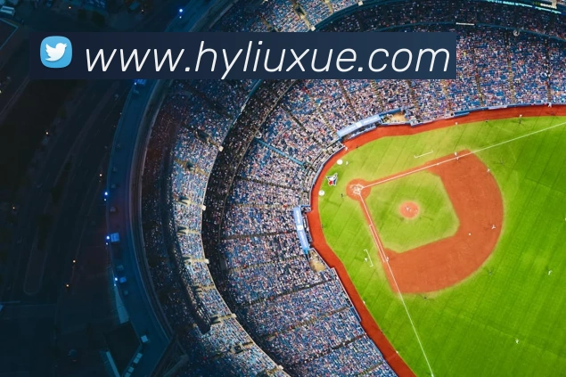 世界杯官方入口发展历程